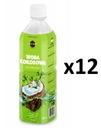 Kokosová voda 100% Coco Planet 0,5l SET 12 ks