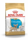 Royal Canin Chihuahua Puppy 1,5 kg