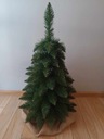 ZAKOPIAŃSKA vianočný stromček BOROVICA štíhla 60-65 cm PREMIUM Tatry