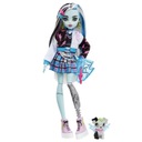 Bábika MATTEL MONSTER HIGH Frankie HHK53