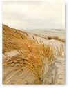 Obraz plagátu SEA dunes 40x50 cm #168