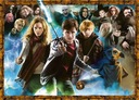 Puzzle 1000 EL. Harry Potter