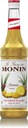 Monin Ananás ananásový sirup + zadarmo*