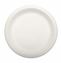 Papierový tanier 26cm (50ks)