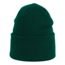 Dámska zimná čiapka pre mládež BOTTLE GREEN Roll-Up Youth