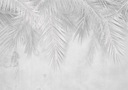 FOTOTAPETY PALMOVÉ LISTY 400x280 b-C-0741-a-a