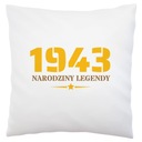 Tričko k 80. narodeninám s dátumom 1863
