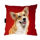 VANKÚŠ s Psíkom CORGIM 40x40 na spanie DARČEK