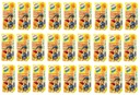27x 200ml HORTEX Leon pomarančový džús BAL