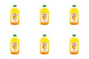 Pomarančový džús NFC 1,5l ANDROS
