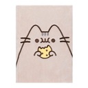 zápisníkový denník plyšový kocúr Pusheen