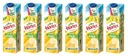6x 1L BALENIE HORTEX nektár banánov
