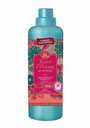 Tesori d'Oriente Ayurveda IT ústna voda 760 ml 38 oplachov