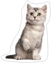 Vankúš v tvare Cat Kitty Carbotex
