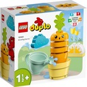 SET LEGO DUPLO 10981 RASTÚCA MRKVA BLOK