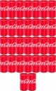 SÝTENÝ NÁPOJ Coca-Cola KANZA 200 ml x48