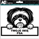 Polep auta PES SHIH TZU + MENO