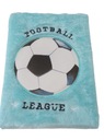 DENNÍKOVÝ ZÁPISNÍK chlpatý FUTBAL