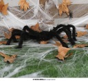 ČIERNY PAVÚK 70 CM HALLOWEENSKÉ DEKORÁCIE