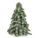 Vianočný stromček z konárov jedle nobilis 40cm ECO