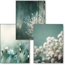 BOHO sada 3 obrazov B2 50x70 plagát NATURA #222