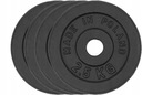 HMOTNOSŤ LIATINY 4x2,5kg SET disk disk 31
