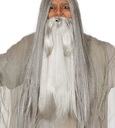 Sivá brada čarodejníka Múdry kúzelník Gandalf