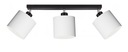 STROPNÉ SVIETIDLO PB-3PC LED, LOFT E27 TIIEŤ