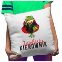 Funny Pillow Awesome Manager