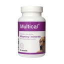 DOLVIT Multical vitamíny pre psov 90 tabliet