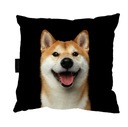 VANKÚŠ s PSÍKOM SHIBA INU na spanie, 40x40, darček