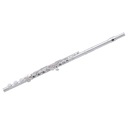 Priečna flauta Armstrong FL650E2D 701116