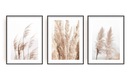 OBRAZOVÉ PLAGÁTY 3 ks Triptych BOHO GRASS A4 21x30 cm