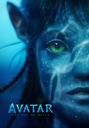 Obraz na plagát AVATAR 2 (2022) 70x50cm #128