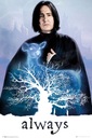 Plagát filmu Harry Potter Snape Patronus 61x91,5