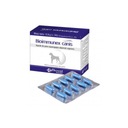 Biowet Bioimmunex Canis 40 kapsúl Imunita pre psov