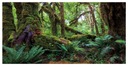 Terárium do akvária 120x50 cm tropický les