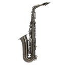 Roy Benson AS-202G alt saxofón v Es