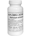 Soplówka Jeżowata Podkowa 60 ks