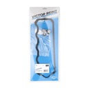Victor Reinz 15-31257-01