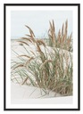 OBRAZOVÝ PLAGÁT V RÁME 33x43 cm Boho P2296