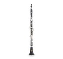 Bb klarinet ROY BENSON CB-317