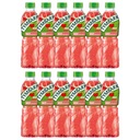 Tymbark jablkový melónový nápoj vo fľaši 12 x 500 ml