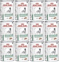 Royal Canin Diabetic Special 12x410g