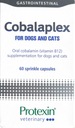 Probiotikum Cobalaplex Protexin pre psov/mačky 60 kapsúl