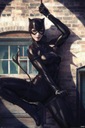 Plagát Catwoman Bodové svetlo DC Comics 61x91,5 cm