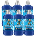 Coccolino Creations Aviváž s bergamotom 6 x 1,275 l