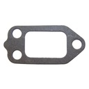 Tesnenie termostatu 5066806AA