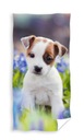 Dog Psí osuška 70x140 Carbotex
