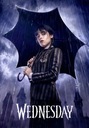 Plagát Obraz Wednesday Addams Family 70x50cm #181